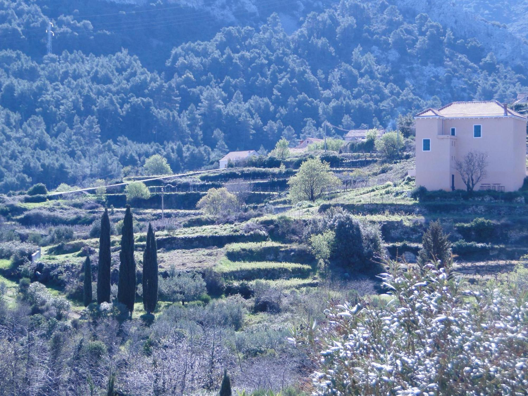 Heritage Apartments Kyra & Fox In Pitve, Hvar 外观 照片
