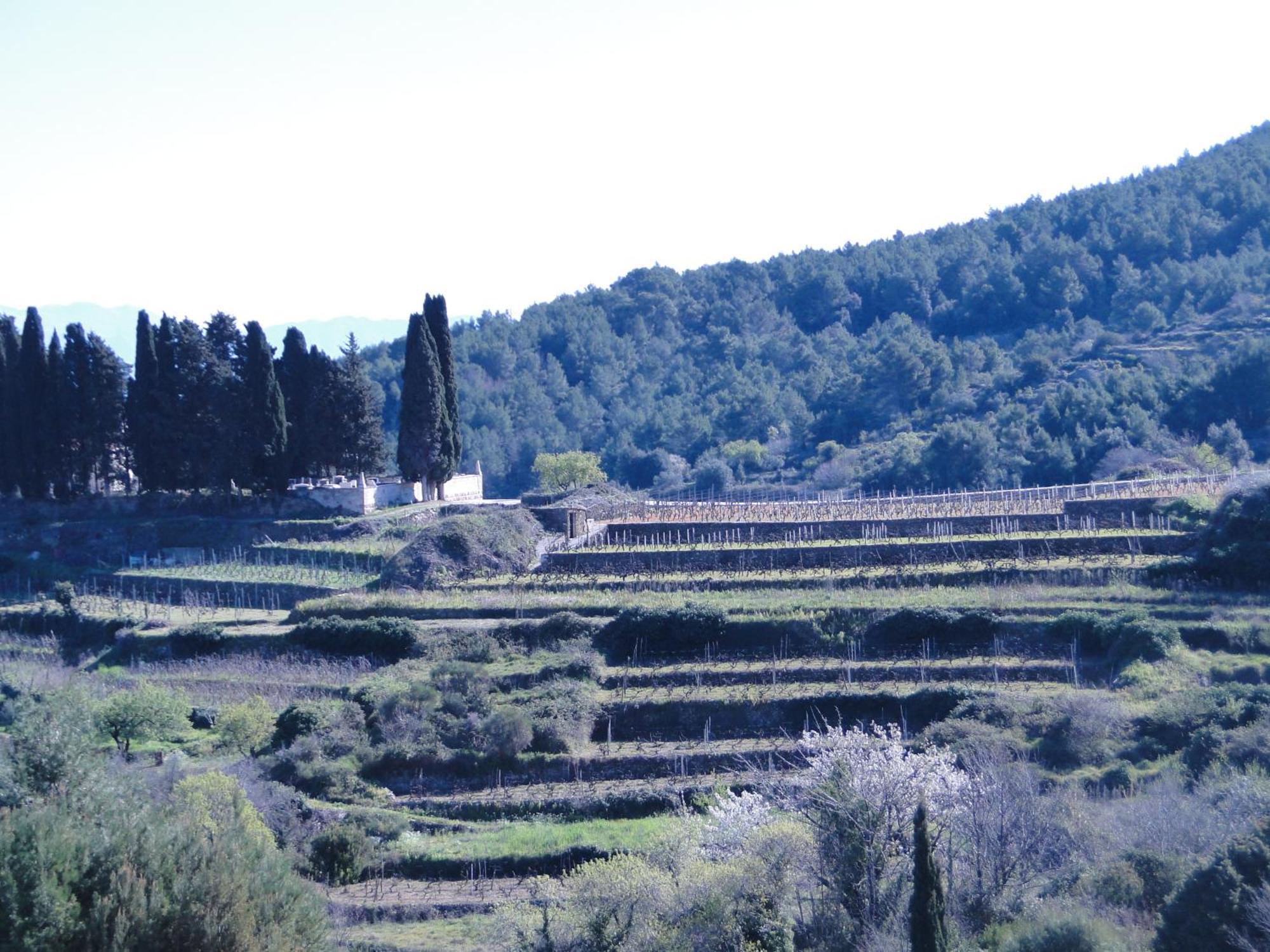 Heritage Apartments Kyra & Fox In Pitve, Hvar 外观 照片
